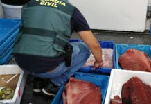 Thunfisch Marokko Spanien