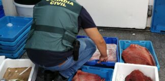 Thunfisch Marokko Spanien