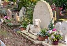 Tierfriedhof Spanien