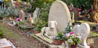 Tierfriedhof Spanien