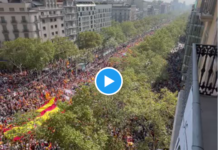 Barcelona Demo Amnestie