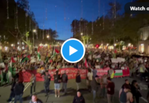 Barcelona PAlestina