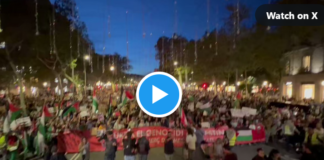 Barcelona PAlestina