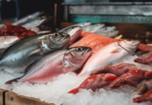 Frischer Fisch Spanien