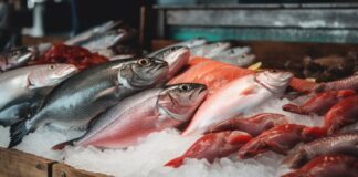 Frischer Fisch Spanien