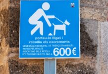 Hundekot Spanien Malaga