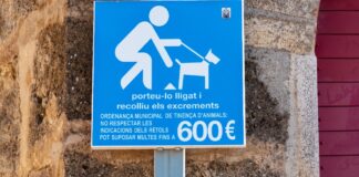 Hundekot Spanien Malaga