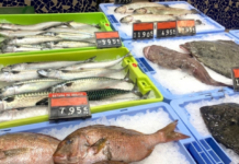MErcadona Fisch Blau Gruen