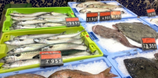 MErcadona Fisch Blau Gruen