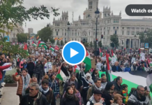 Madrid Demo Gaza