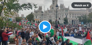 Madrid Demo Gaza