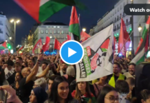 Madrid Pro Palestina Proteste