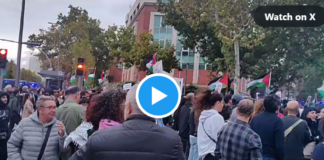 Madrid Spanin Israel Demo