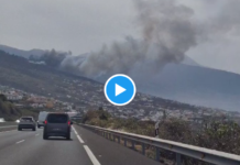 Teneriffa Waldbrand