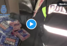 Die Nationalpolizei zerschlägt eines der mächtigsten Kokain-Vertriebsnetze in Nordspanien