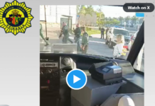 Einkaufzentrum Torrevieja Terror