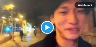 Japanischer Streamer
