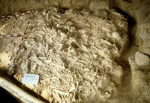 Krieg in Spanien vor 5000 Jahren