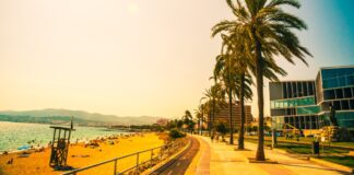 LAmpen Playa de Palma Mallorca