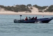 Migranten von Drogenboot geworfen