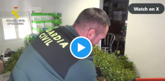 Misteln Guardia Civil