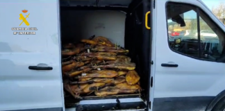Schinken verhaftung Guardia Civil