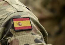 Wespennest Spanien
