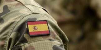 Wespennest Spanien