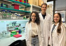 Studie von Wissenschaftlern aus Barcelona identifiziert Schlüsselelement für die zukünftige Behandlung von Brustkrebs