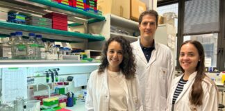 Studie von Wissenschaftlern aus Barcelona identifiziert Schlüsselelement für die zukünftige Behandlung von Brustkrebs