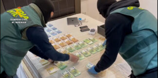 12.000 Marihuana-Pflanzen von einer gewalttätigen Organisation in Granada beschlagnahmt