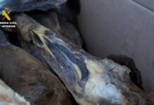 Die Guardia Civil hat 970,8 Kilogramm Schinken beschlagnahmt