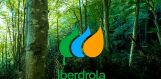 Iberdrola Energie