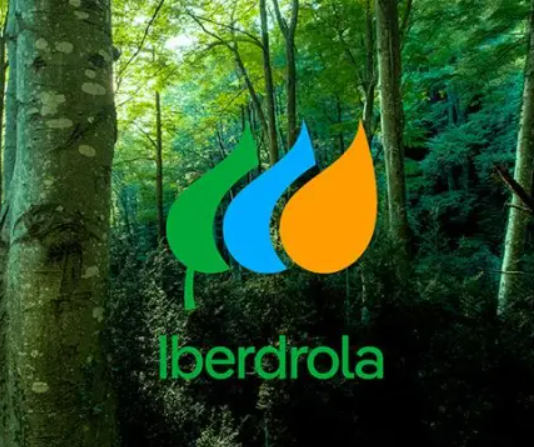 Iberdrola Energie