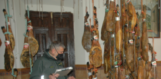 Razzia Guardia Civil