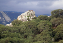 Regenwald Spanien