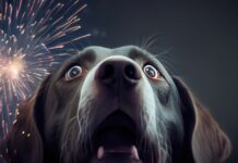 Torremolinos in Málaga verhängt Feuerwerksverbot