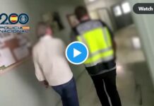Die Nationalpolizei beschlagnahmt 71 archäologische Stücke aus Plünderungen in einer Galerie in Barcelona