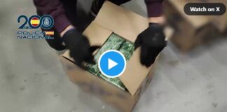 Die Nationalpolizei zerschlägt eine kriminelle Organisation die zweieinhalb Tonnen Kokain nach Spanien geschmuggelt hat