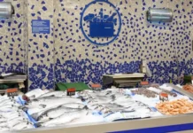 Mercadona erläutert das Konzept seines neuen Fischhandels