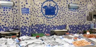 Mercadona erläutert das Konzept seines neuen Fischhandels