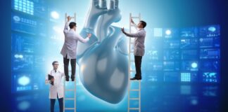 Organtransplantationen Spanien 2023