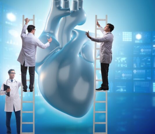 Organtransplantationen Spanien 2023