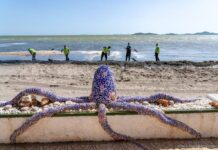 Pilotprojekt zur Neugestaltung der Strände von Mar Menor