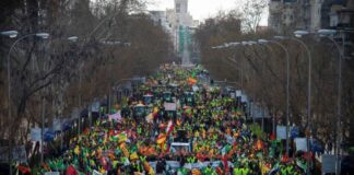 Bauernprotest in Madrid endet nach Versammlung Tausender Demonstranten