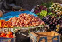Die Ernährung der Spanier wird in nur zehn Jahren von Marokko abhängen