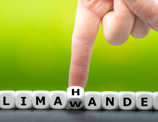 Klimawandel nur für Menschen mit niedrigem Einkommen