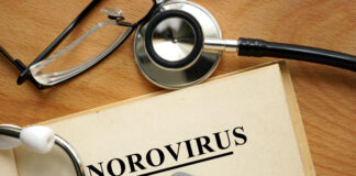 Norovirus Spanien