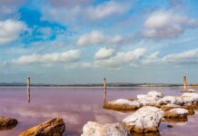 Spaniens pinkfarbener See die Laguna de Torrevieja
