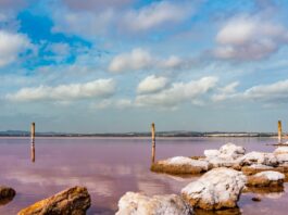 Spaniens pinkfarbener See die Laguna de Torrevieja